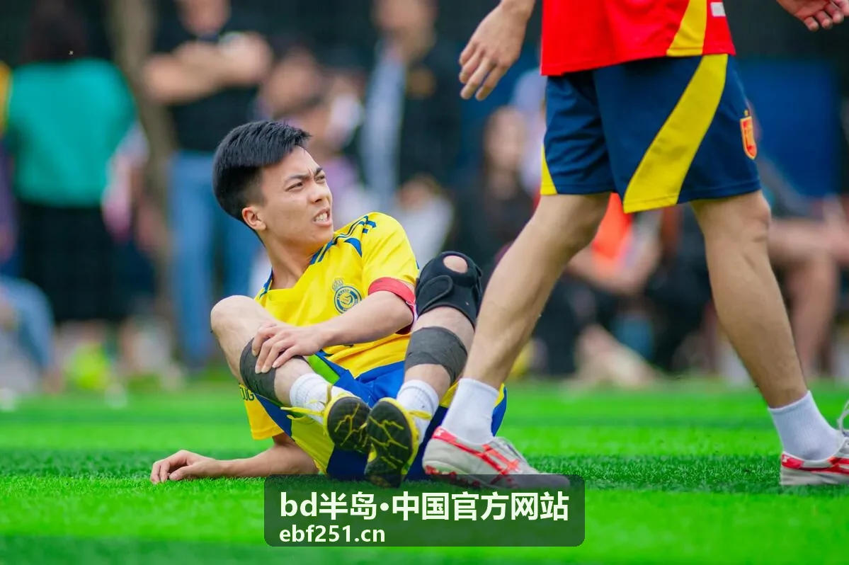 半岛专题分析资料封面二